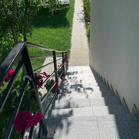 ホテル Casa Steluta De Mare ドウア・マ エクステリア 写真
