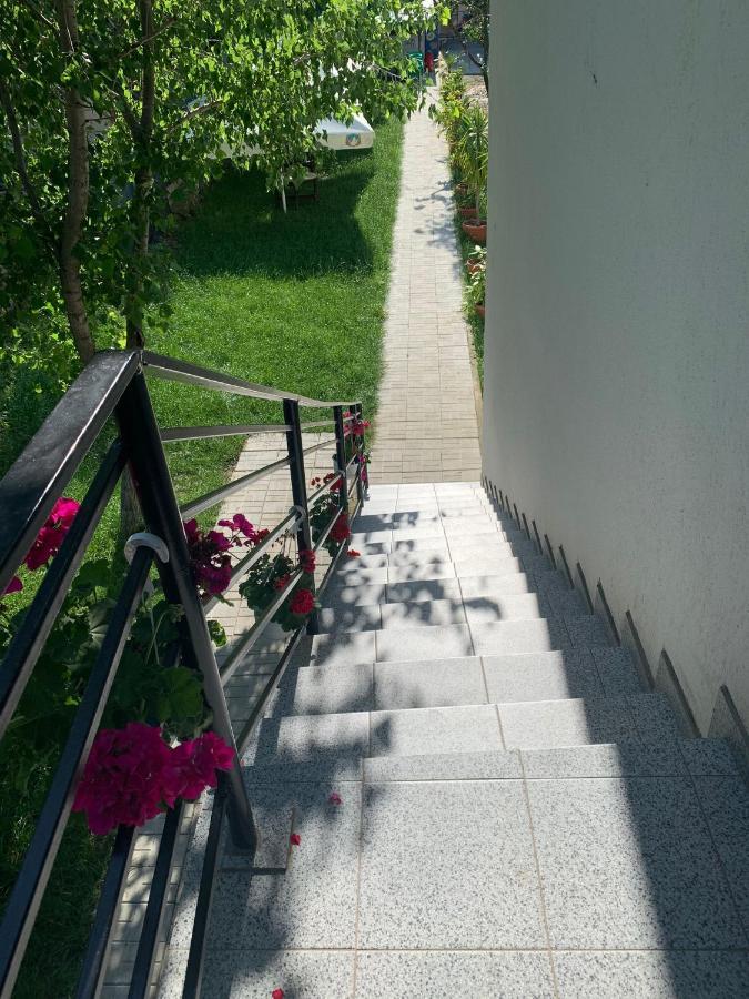 ホテル Casa Steluta De Mare ドウア・マ エクステリア 写真